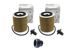 Oil Filter 2-pak with Socket | Gen1 MINI Cooper and Cooper S models